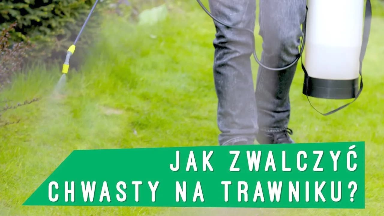 Chwast ogrodowy: jak skutecznie go zwalczać i uniknąć strat w uprawach Chwast ogrodowy: jak skutecznie go zwalczać i uniknąć strat w uprawach