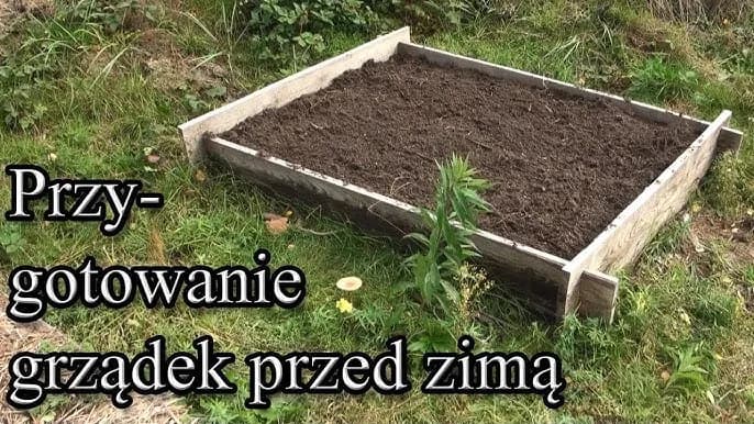 Jak przygotować ogród warzywny na zimę, aby uniknąć strat i chorób Jak przygotować ogród warzywny na zimę, aby uniknąć strat i chorób
