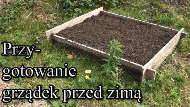Jak przygotować ogród warzywny na zimę, aby uniknąć strat i chorób Jak przygotować ogród warzywny na zimę, aby uniknąć strat i chorób